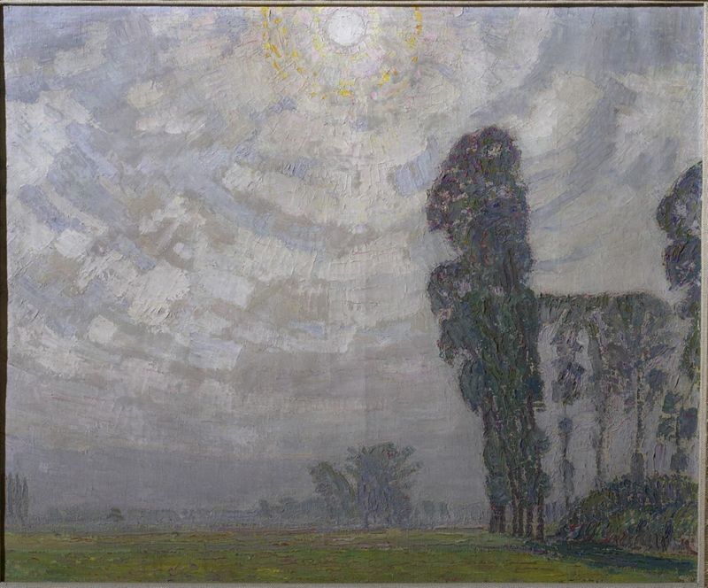 Veld in de zon