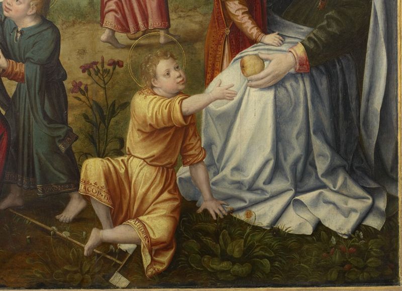 Taferelen uit het leven van de H. Maagd