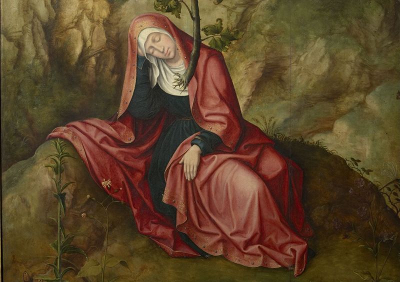 Taferelen uit het leven van de H. Maagd