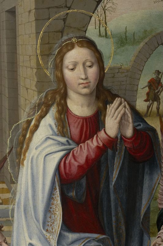 Taferelen uit het leven van de H. Maagd