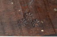 X004728