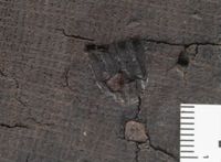 X004769