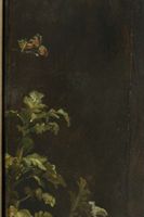 X006337