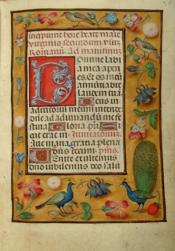 Livre d'heures, usage de Rome