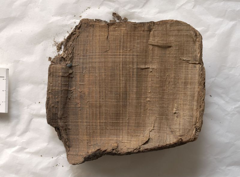 Papyrus codex