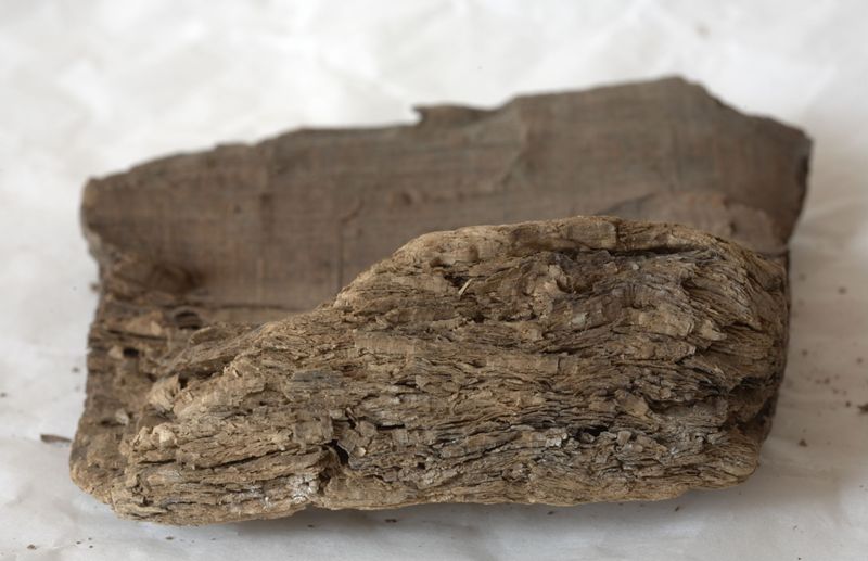 Papyrus codex