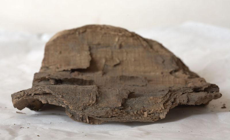 Papyrus codex