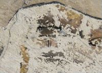 X010410