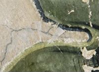 X010424