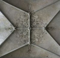 X010447