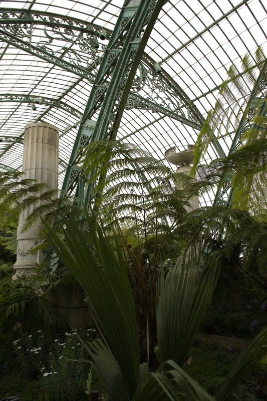 Serres royales de Laeken