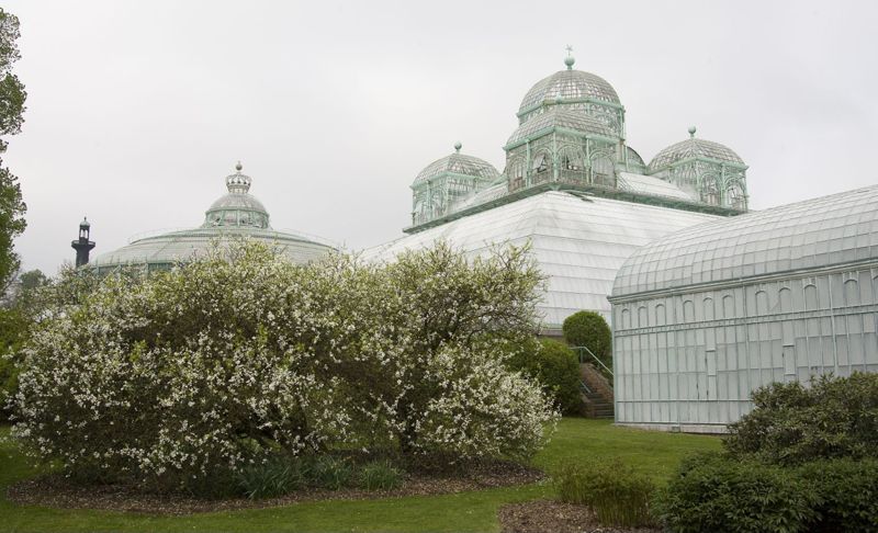 Serres royales de Laeken