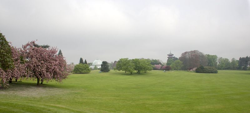 Serres royales de Laeken