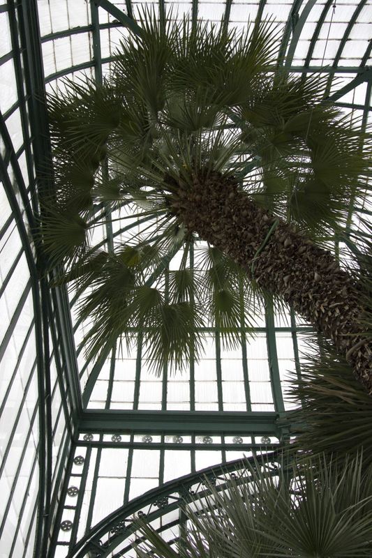 Serres royales de Laeken