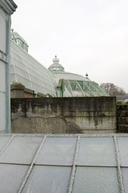 Serres royales de Laeken