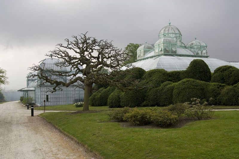 Serres royales de Laeken