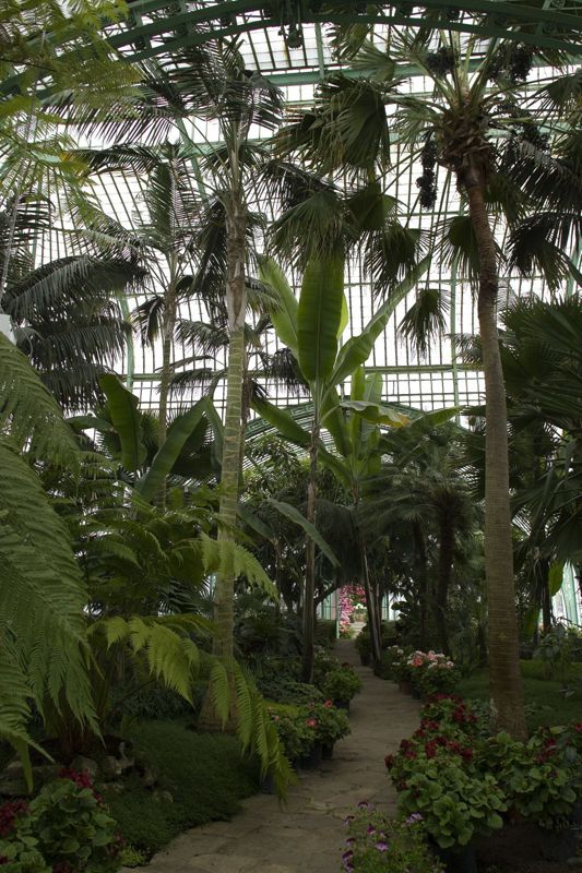Serres royales de Laeken