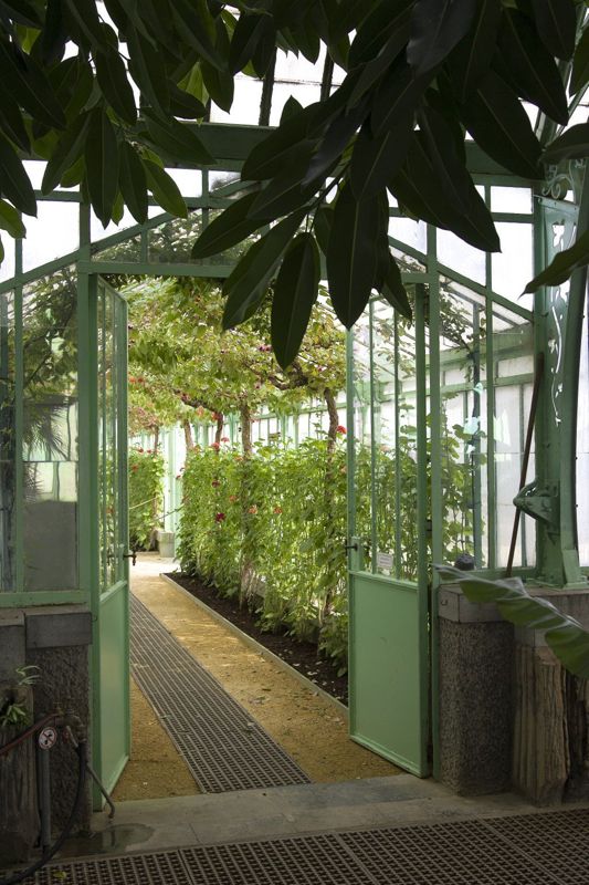 Serres royales de Laeken