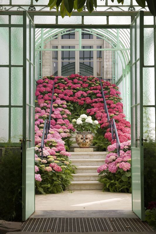 Serres royales de Laeken