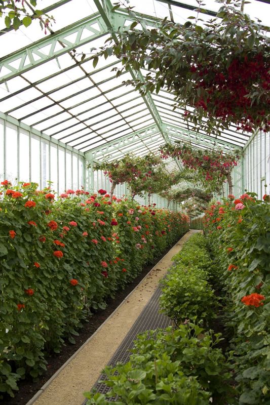 Serres royales de Laeken