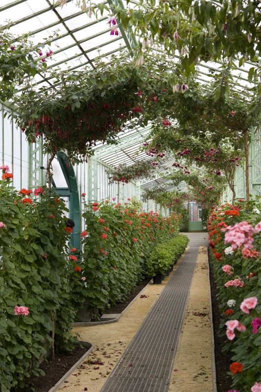 Serres royales de Laeken