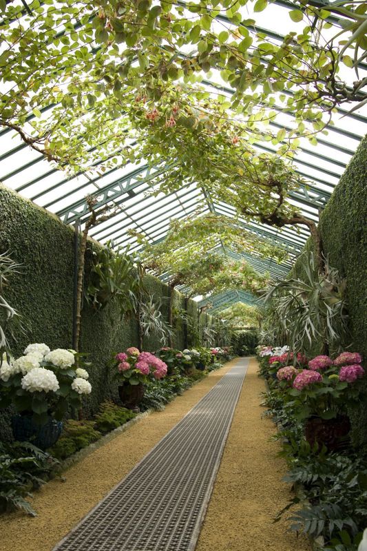 Serres royales de Laeken