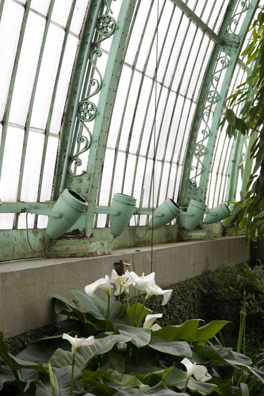 Serres royales de Laeken