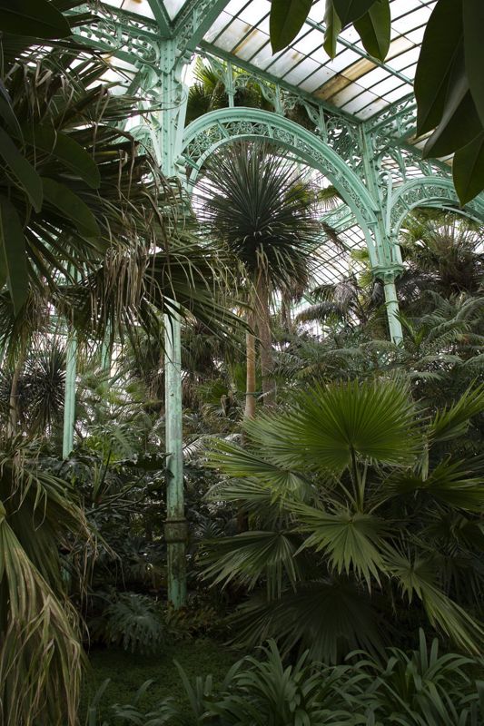 Serres royales de Laeken