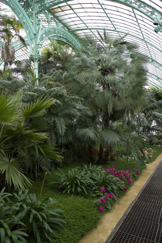 Serres royales de Laeken