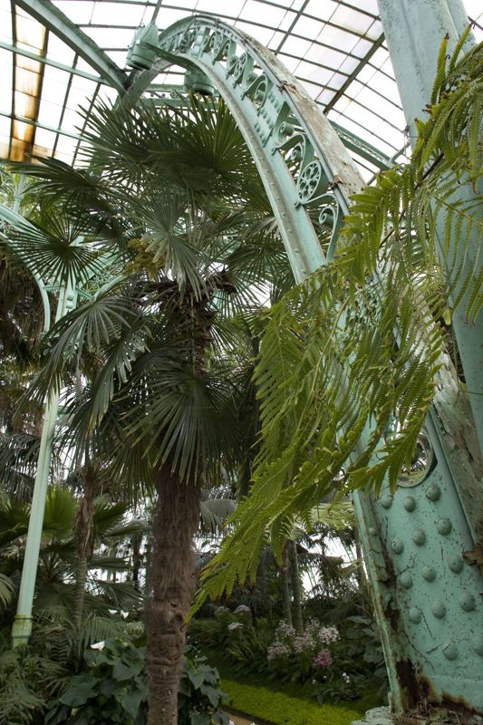 Serres royales de Laeken