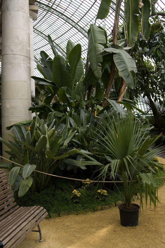 Serres royales de Laeken
