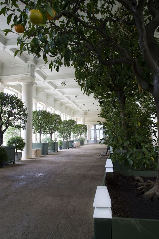 Serres royales de Laeken