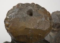 X012046