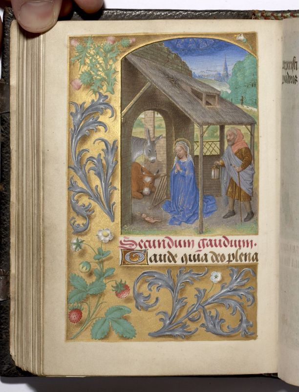 Livre d'Heures de John Donne (Heures Donne), usage de Sarum