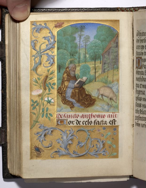 Livre d'Heures de John Donne (Heures Donne), usage de Sarum
