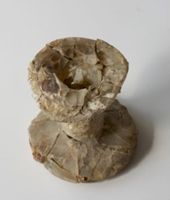 X015439