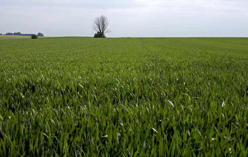 terrain agricole / Aspect[Braine-l'Alleud]