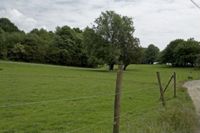 X016587