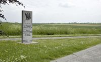 X016593