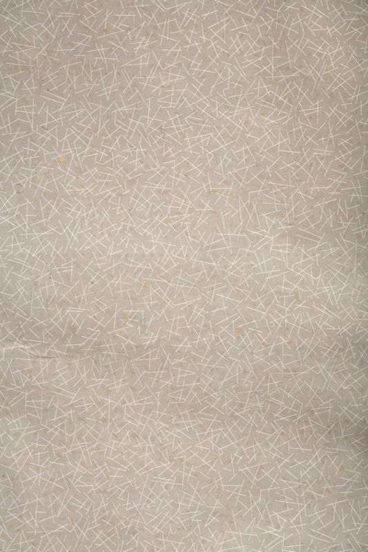 papier peint[fragment] / Ancien Presbytère