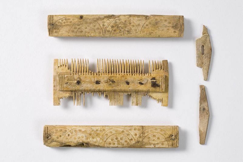 peigne à 2 rangées de dents avec gaine