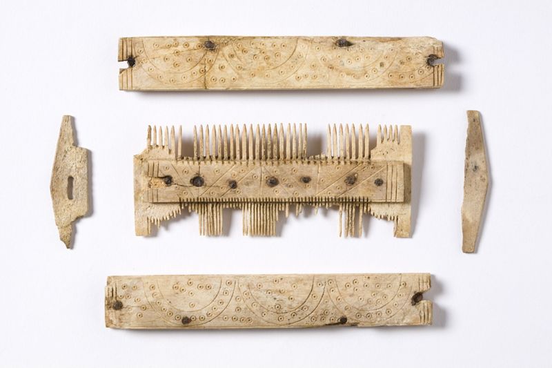 peigne à 2 rangées de dents avec gaine