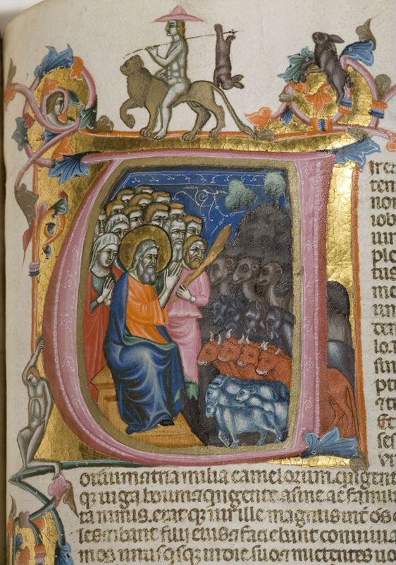 Bijbel van Anjou