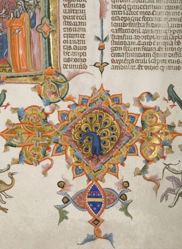 Bijbel van Anjou