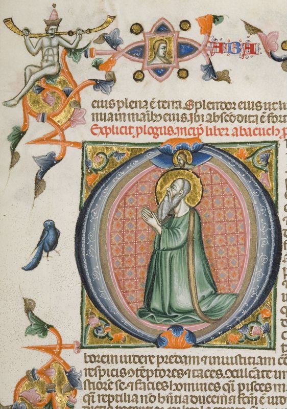 Bijbel van Anjou