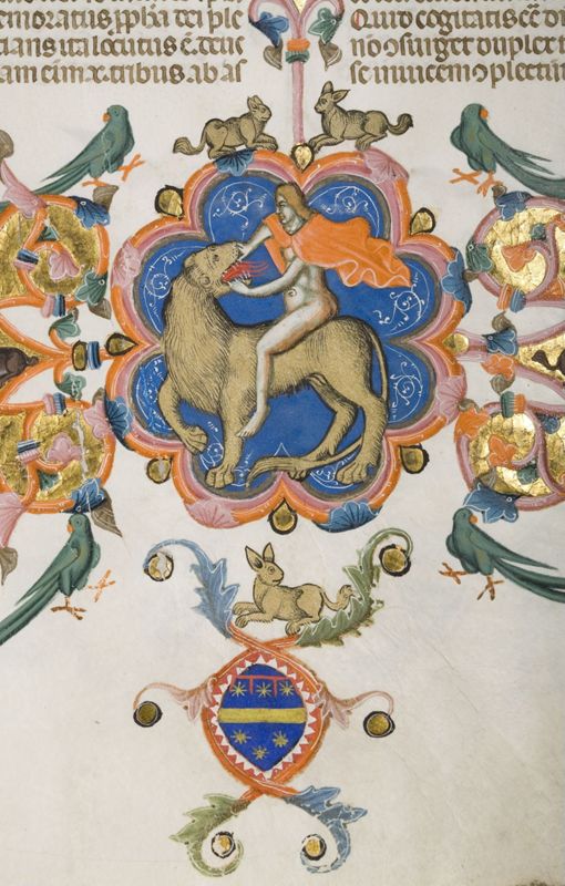 Bijbel van Anjou