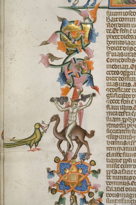 Bijbel van Anjou