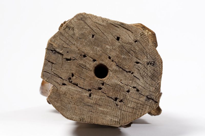 Engel met geselkolom