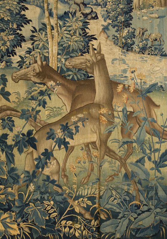 Dierenjacht