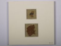 X045279